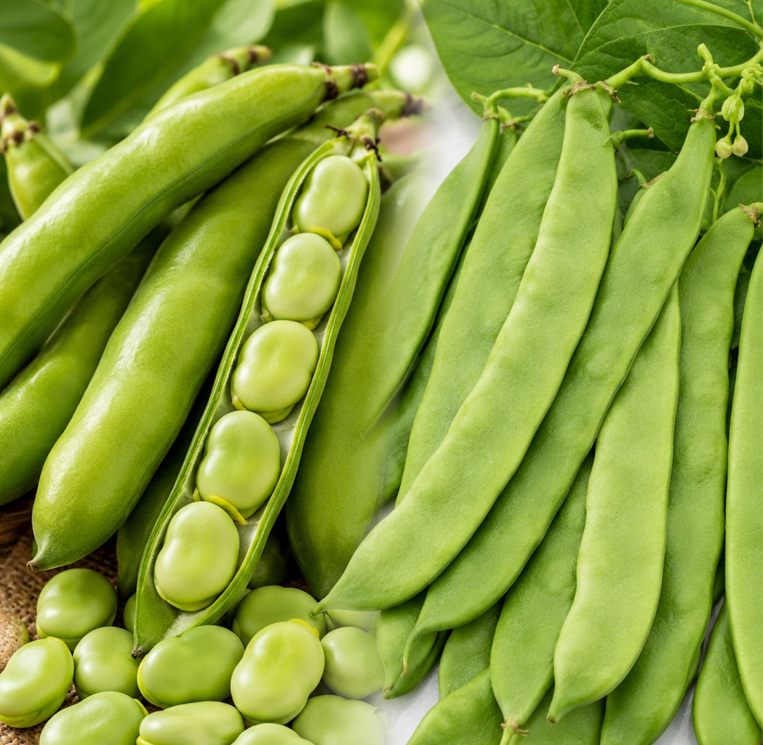 Broad beans & flat beans