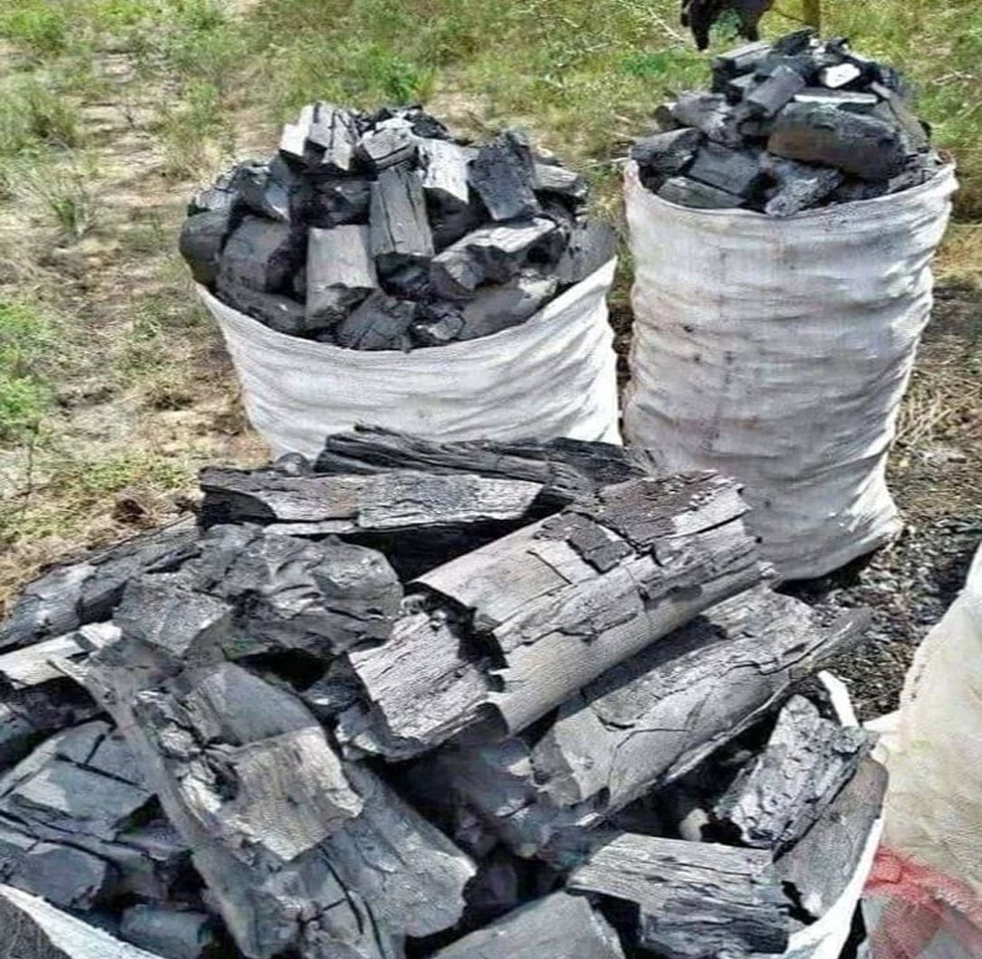 Wood Charcoal